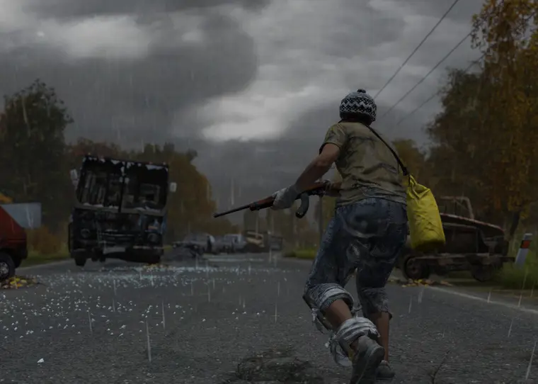 DayZ gameplay artwork