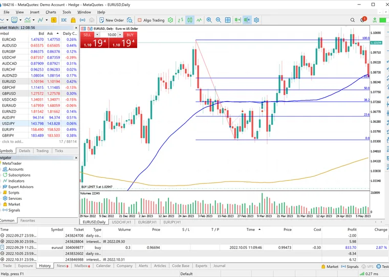 A MetaTrader terminal running on Windows Server