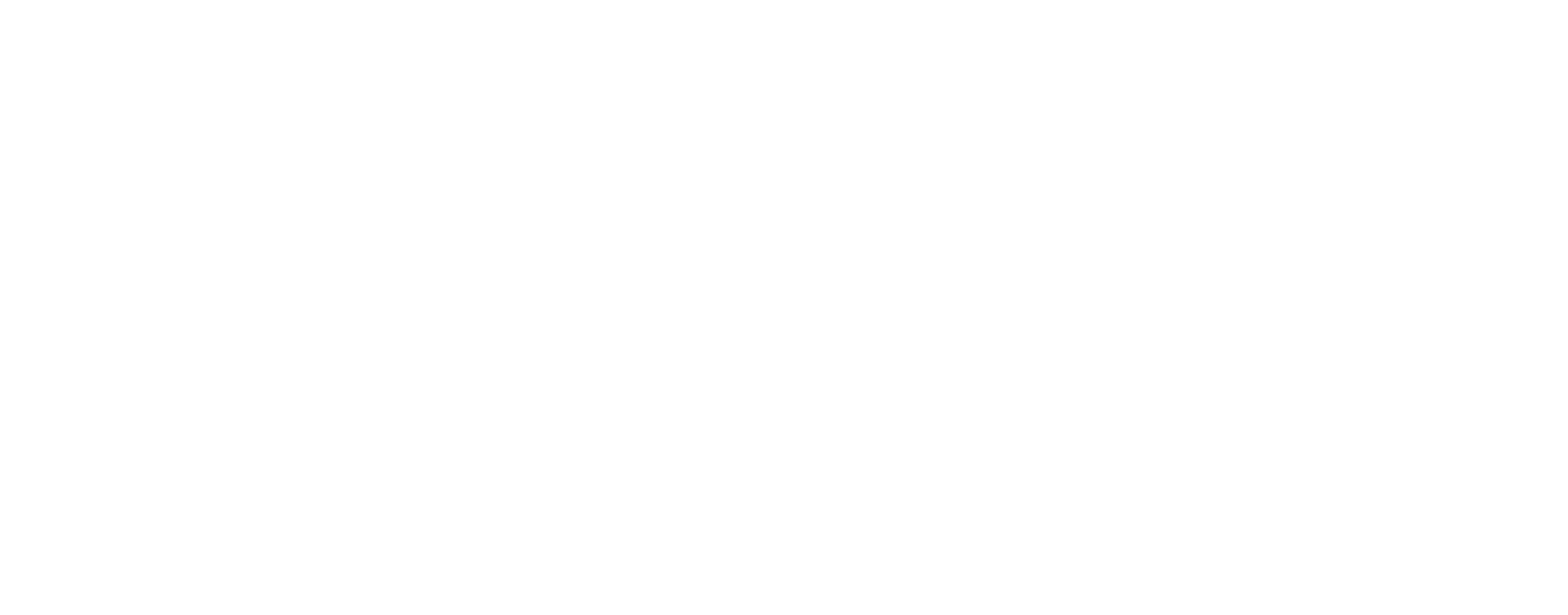 White Bilişim Teknolojileri logosu